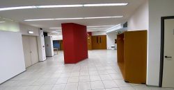 Centro Convegni Arredato