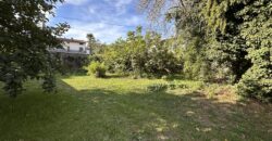 Ampia Casa Con Giardino
